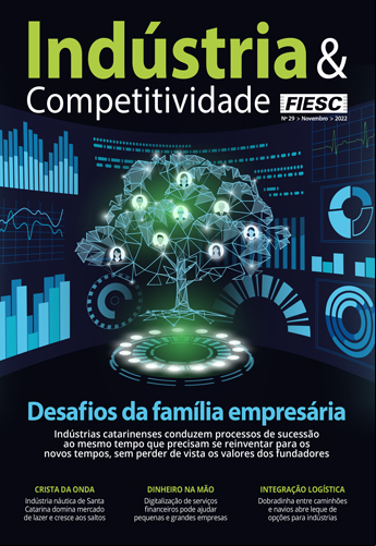 Revista Indústria e Competitividade 29