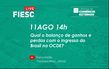 Efeitos positivos e negativos do ingresso do Brasil na OCDE são tema de live nesta terça (11)